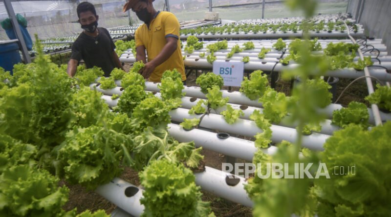 Melampaui Murabaha: Ketika Pembiayaan Syariah Bertemu Rantai Nilai Pertanian